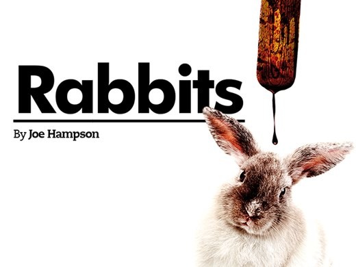 rabbits-triplet-one-nldd