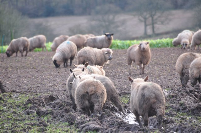 geograph-3297652-by-Lewis-Clarke