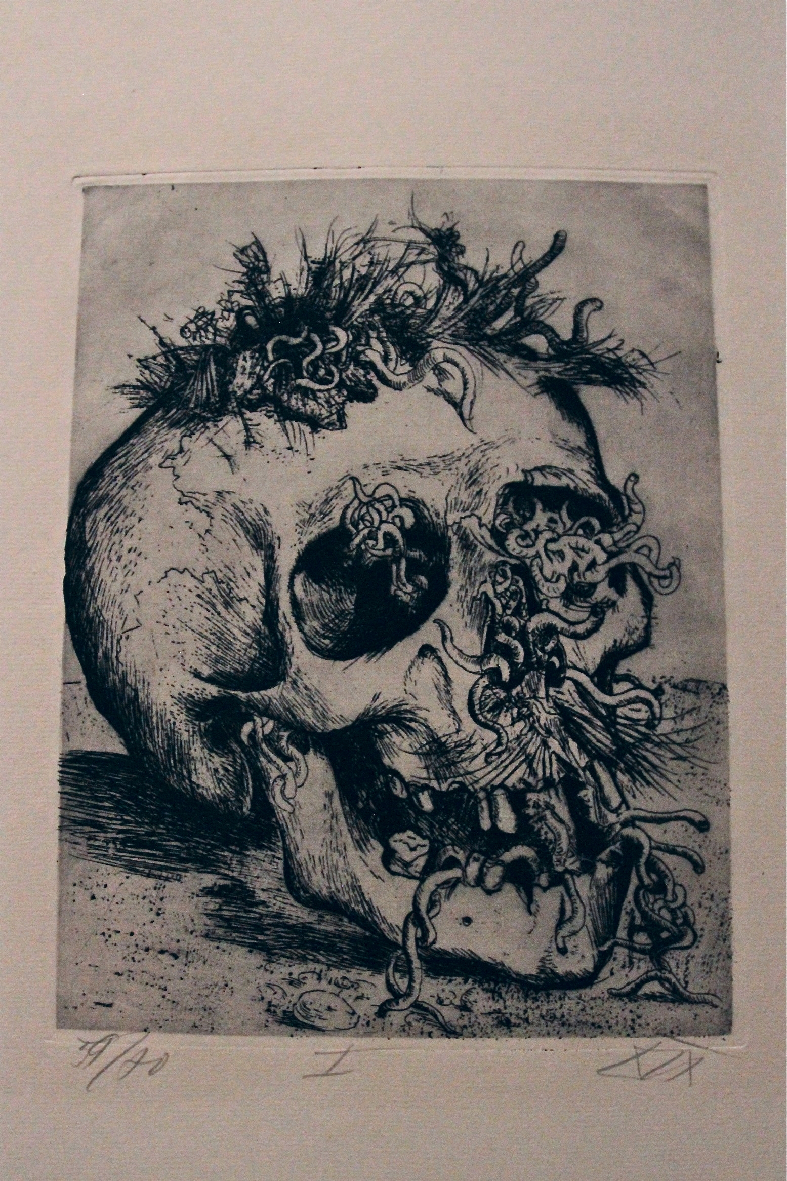Otto Dix Skull from The War (1924) - http://www.moma.org/collect